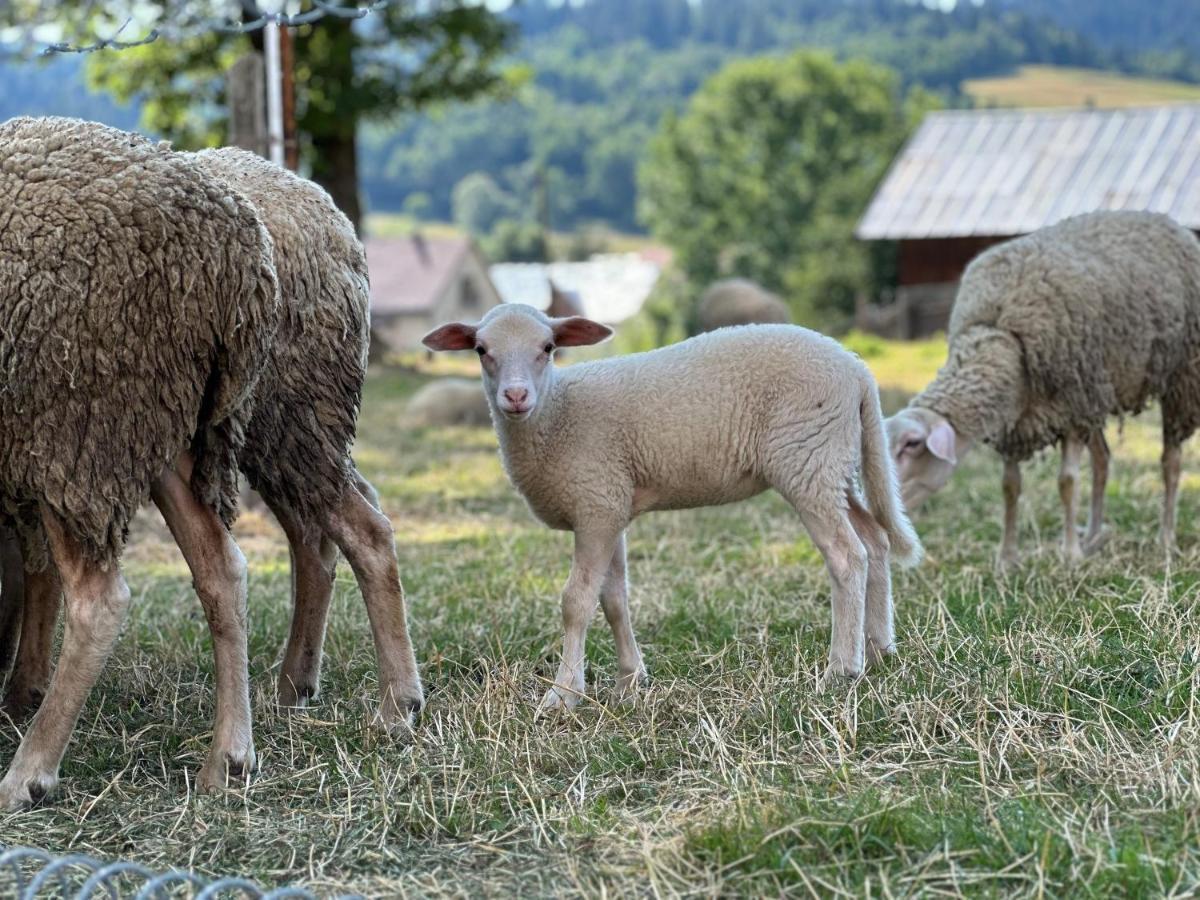 Penzion Hrubjak Polhora Kültér fotó